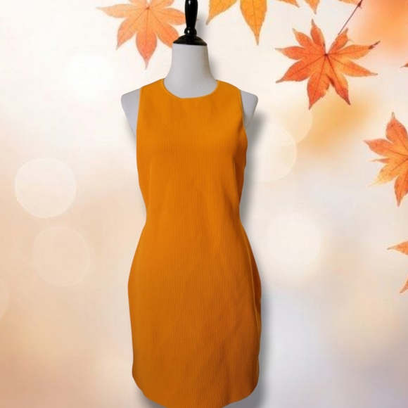 ARITZIA BABATON Sculpt Knit Ribbed Mini Dress XL Racerback Tangelo Orange - Picture 1 of 13